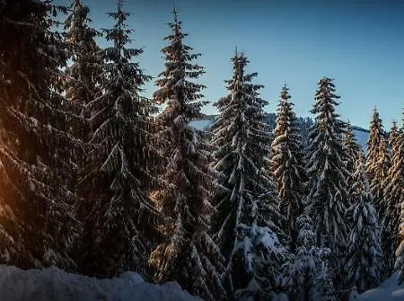 Alojamento de Turismo Selvagem Mălina