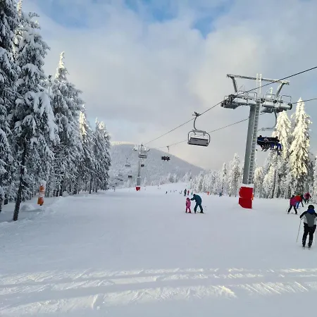 Alojamento de Turismo Selvagem Mălina Vartop