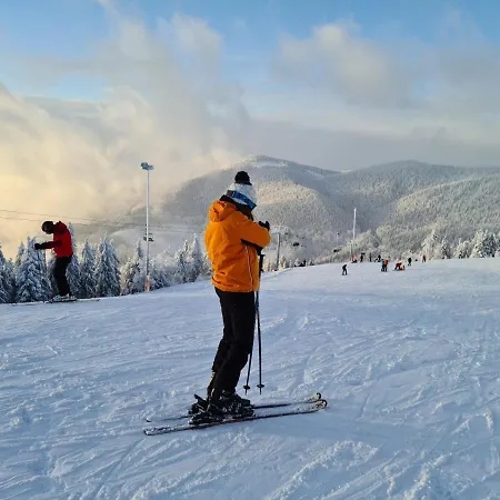 Alojamento de Turismo Selvagem Mălina Vartop