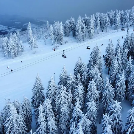 Alojamento de Turismo Selvagem Mălina Vartop